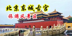 小骚片在线看网站中国北京-东城古宫旅游风景区